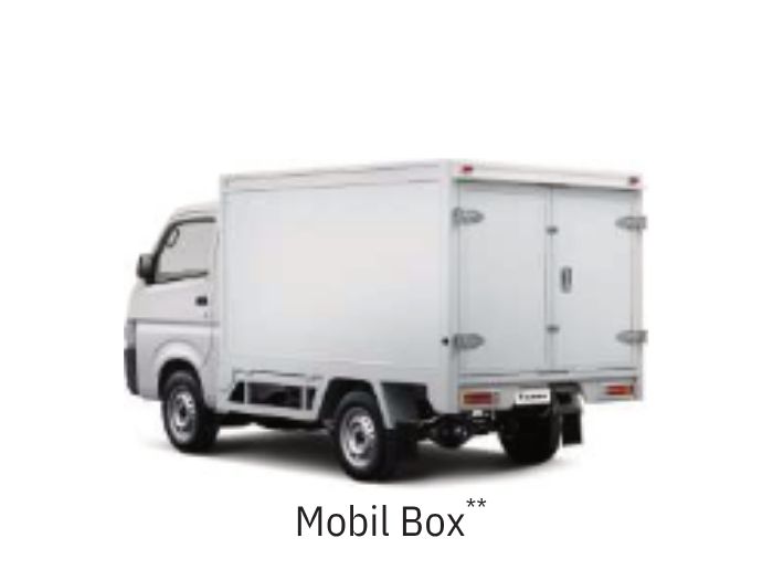 Suzuki Carry Mobil Box