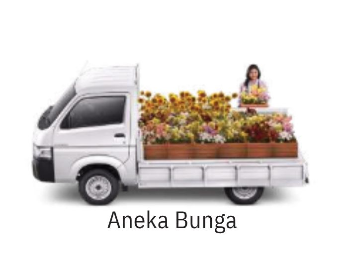 Suzuki Carry untuk aneka bunga