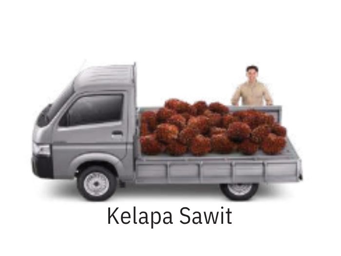 Suzuki Carry untuk kelapa sawit
