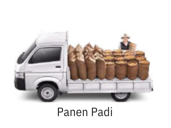 Suzuki Carry untuk panen padi